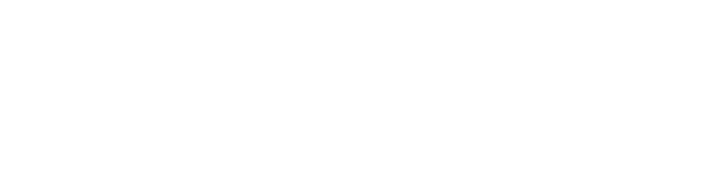 zinologo